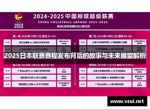 2025日本联赛赛程发布背后的故事与未来展望解析