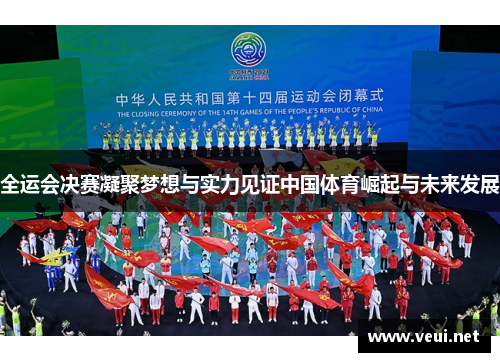 全运会决赛凝聚梦想与实力见证中国体育崛起与未来发展