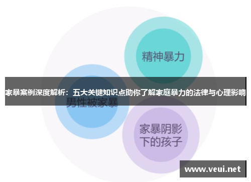 家暴案例深度解析：五大关键知识点助你了解家庭暴力的法律与心理影响