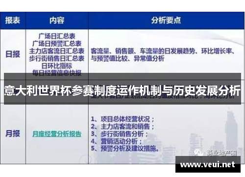 意大利世界杯参赛制度运作机制与历史发展分析