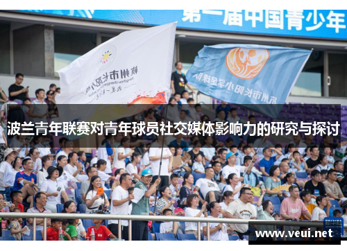 波兰青年联赛对青年球员社交媒体影响力的研究与探讨
