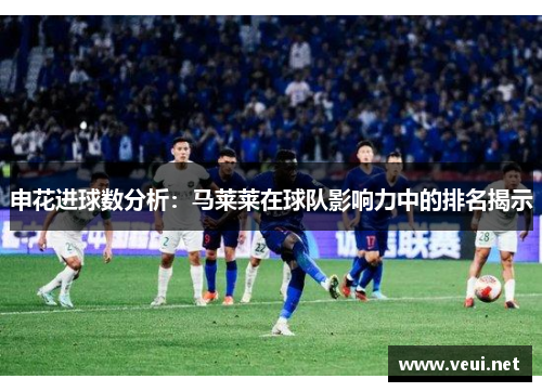 申花进球数分析：马莱莱在球队影响力中的排名揭示
