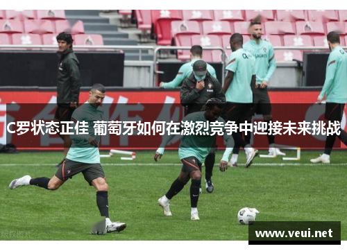 C罗状态正佳 葡萄牙如何在激烈竞争中迎接未来挑战