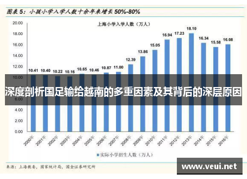 深度剖析国足输给越南的多重因素及其背后的深层原因