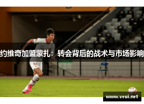 约维奇加盟蒙扎：转会背后的战术与市场影响