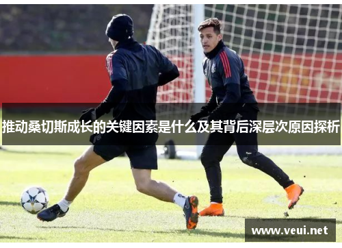 推动桑切斯成长的关键因素是什么及其背后深层次原因探析