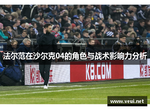 法尔范在沙尔克04的角色与战术影响力分析