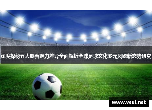 深度探秘五大联赛魅力差异全面解析全球足球文化多元风貌新态势研究 深度探秘五大联赛魅力差异全面解析全球足球文化多元风貌新态势研究